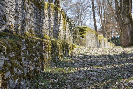 Burg Honberg